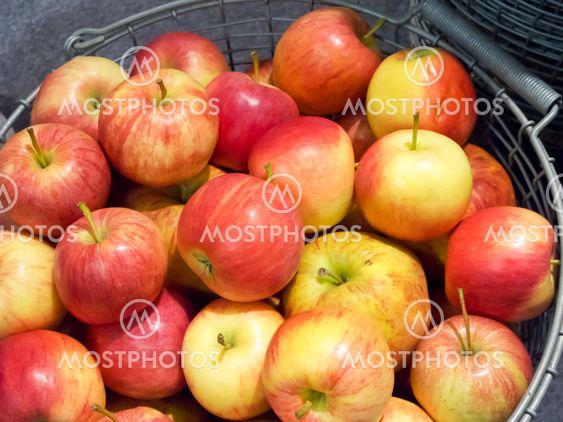 Apples