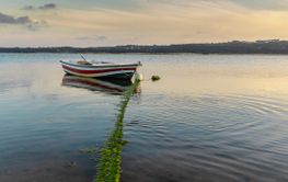 Fishing boats on the lake