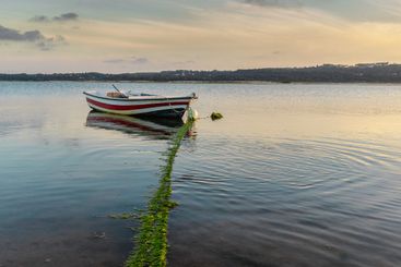 Fishing boats on the lake