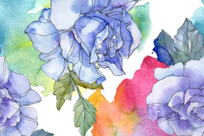 Blue and purple rose floral botanical flowers. Watercolor...