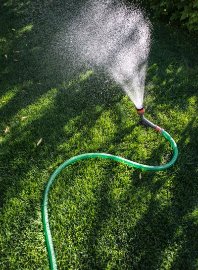 Garden hose and sprayer