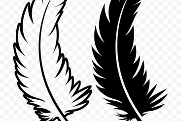 Vector Black and White Fluffy Feather Logo Icons....