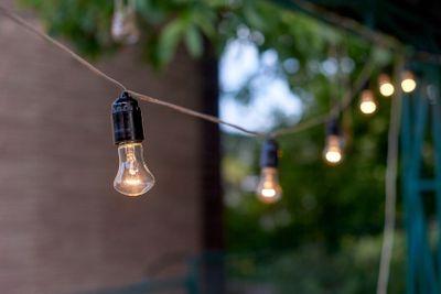 Decorative outdoor string lights hanging on tree in the...