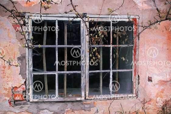 Window