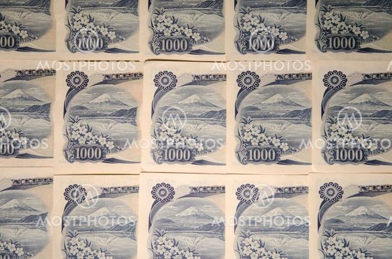 Japanese bill details