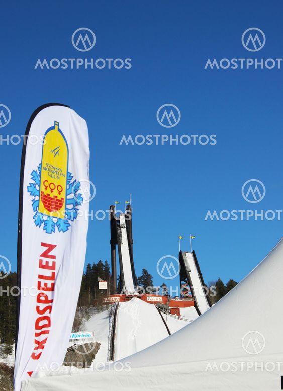 Swedish ski Games 2011