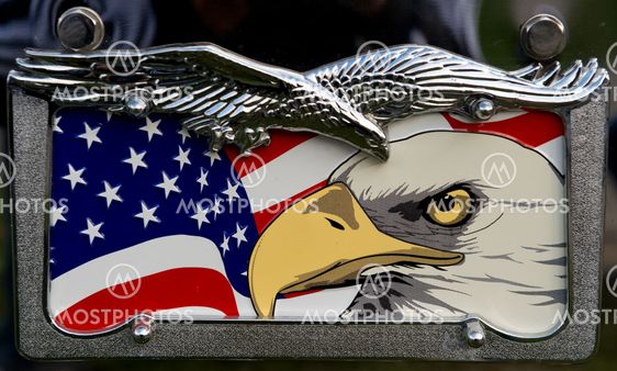 The American Eagle