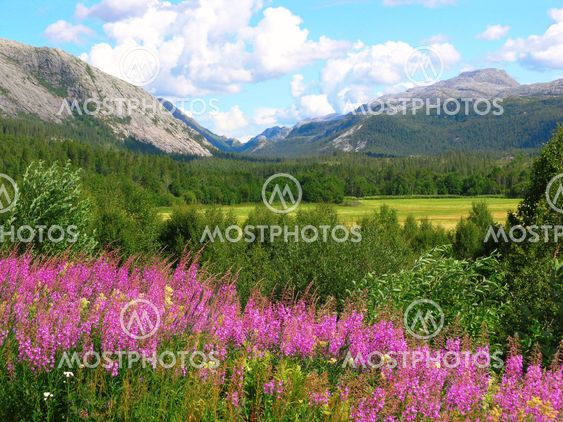 Beautiful Norway nature