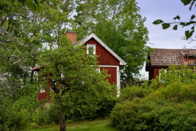 Red wooden house in Sweden