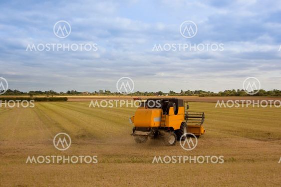 gula harvester