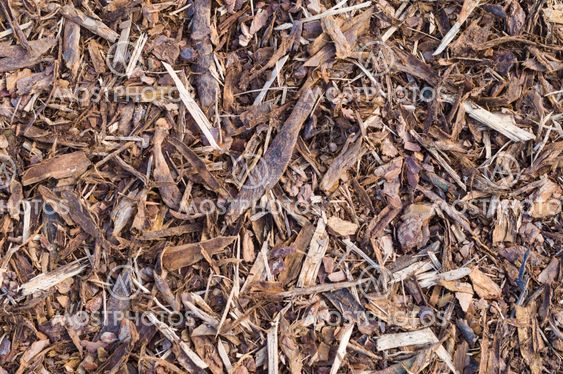 Pine tree bark chip background texture