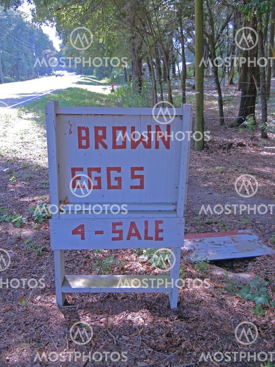Egg Sign