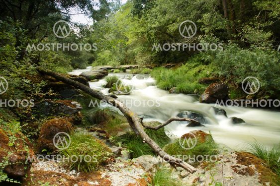 Umia River, Caldas de Reis, Spain