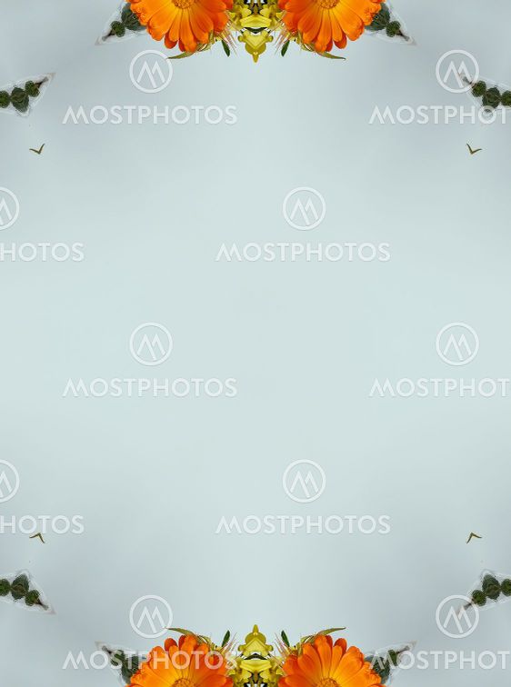 flowers , visual effect of a mirror,abstract color...
