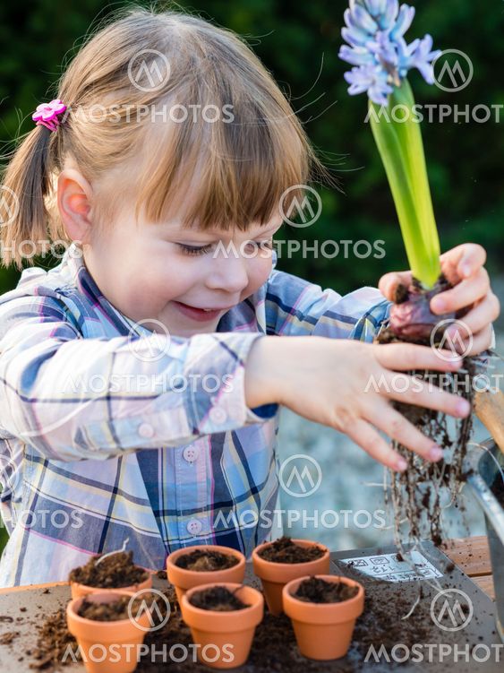 Girl planting flower bulbs with her mother