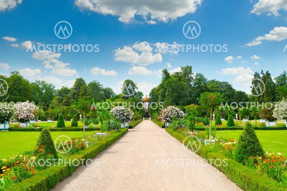 summer park with beautiful flowerbeds