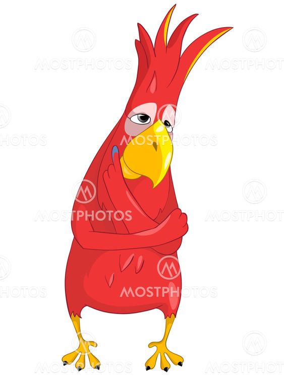 Thinking Funny Parrot.