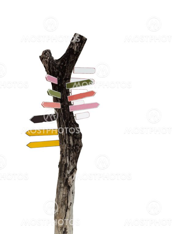 Wooden signpost on old tree.