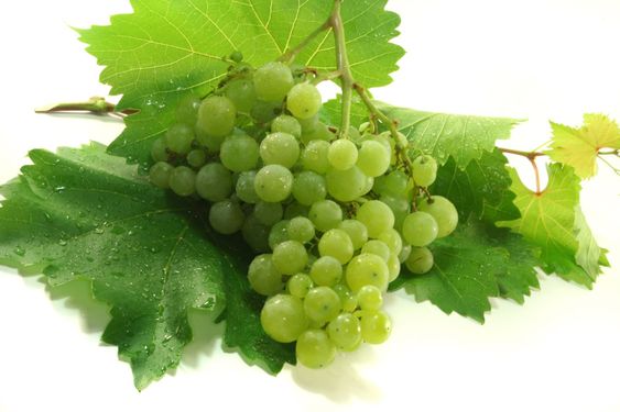 Grapes
