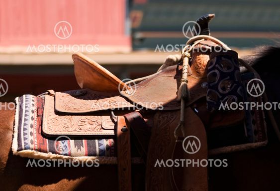Shadowed Saddle