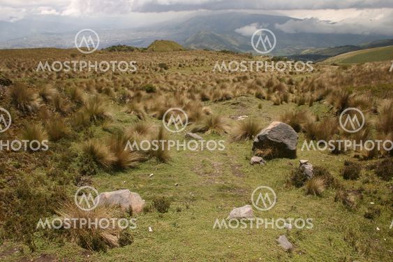 Pichincha