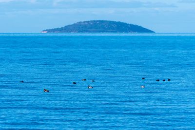 Nationalparken Blå Jungfrun i Kalmarsund sedd från Öland
