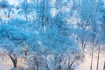 top view of snow-covered park in blue winter dusk