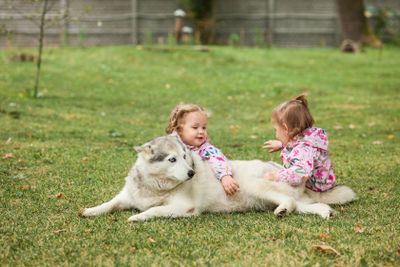The two little baby girls playing with dog against green...