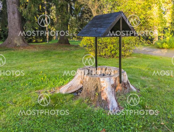 Wishing well