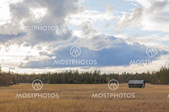 Old barn on a field