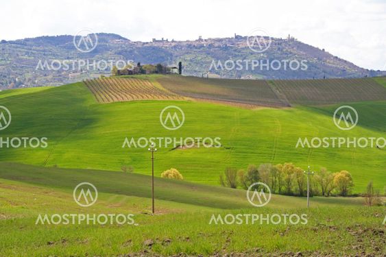 Italy. Val D'Orcia valley. Tuscany landscape