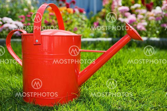 Summer gardening