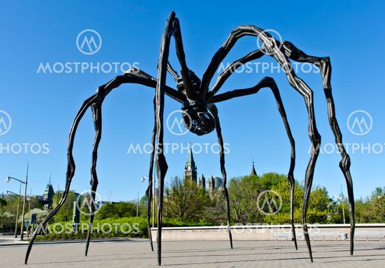 Canada Spider