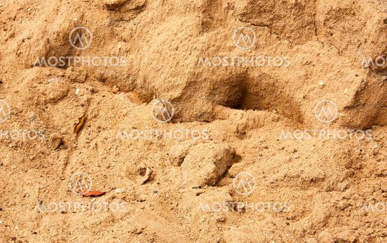 Pile of sand.