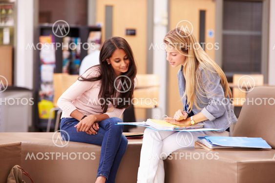 Female College Student Working With Mentor