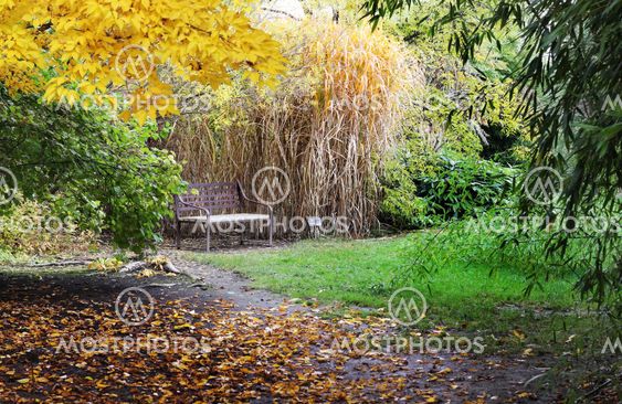 Bench in japanese garden