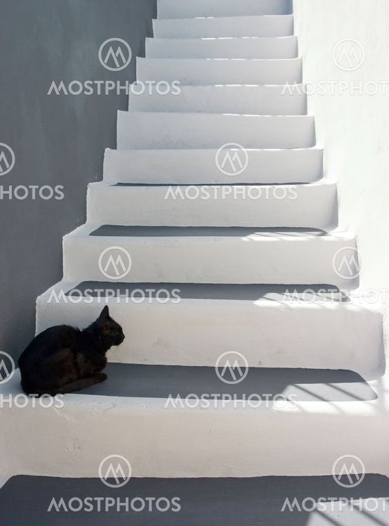 Black cat on the stairs