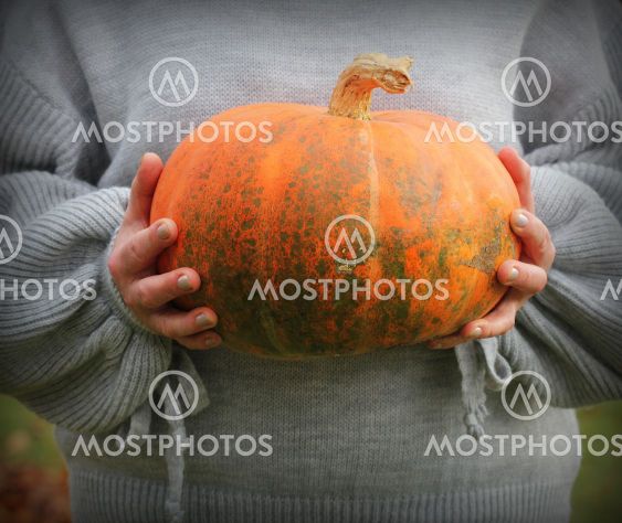 Woman holds big pumpkin in her hands, halloween theme,...