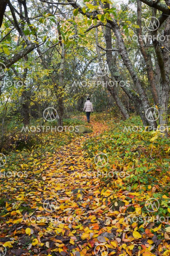 Autumn walk