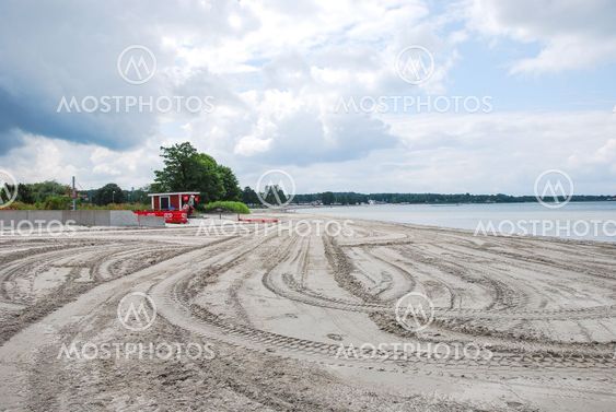 Tracks at beach