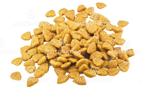 Dog food