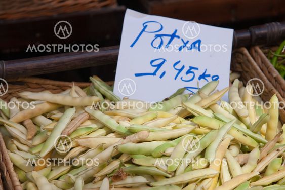 Beans, Vitoria, Alava, Spain