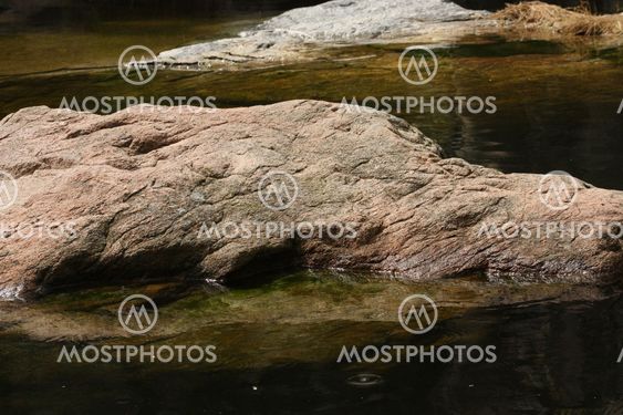 Stone in water