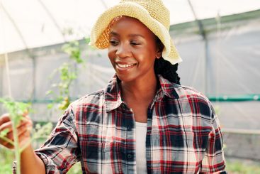 Greenhouse, gardening and black woman with plants,...