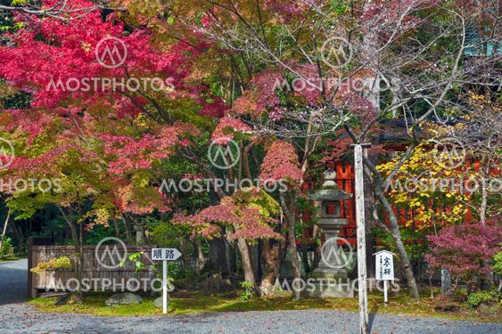 Kyoto, Japan - November 2016: Sekizan Zen-in, Japanese temple in Kyoto during autumn