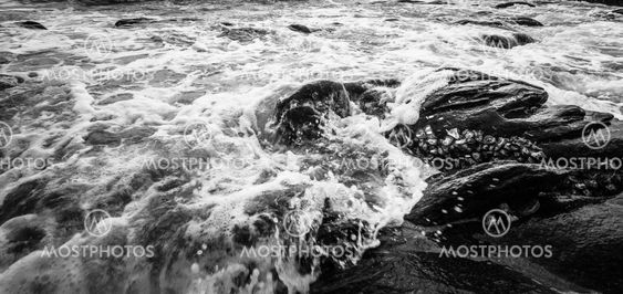 Black and white and blue sea