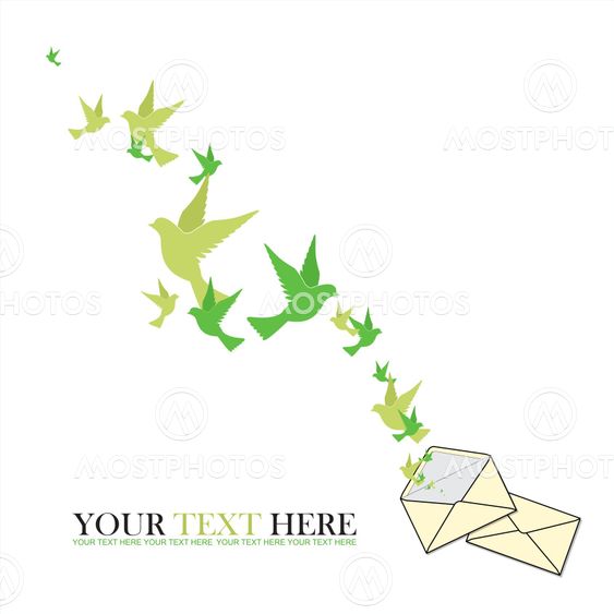 Abstract vector illustration of envelope and birds.