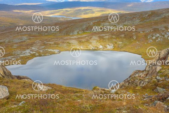 fjällsjö