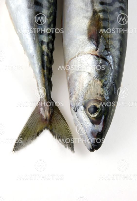 heads or tails