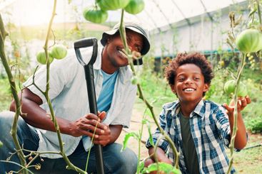 Father, boy or farming in greenhouse, learning and...